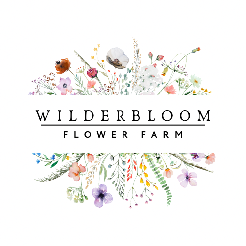 Wilderbloom